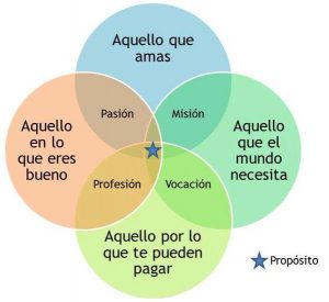 pasion mision profesion vocacion